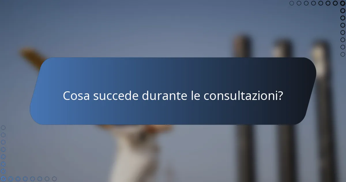 Cosa succede durante le consultazioni?
