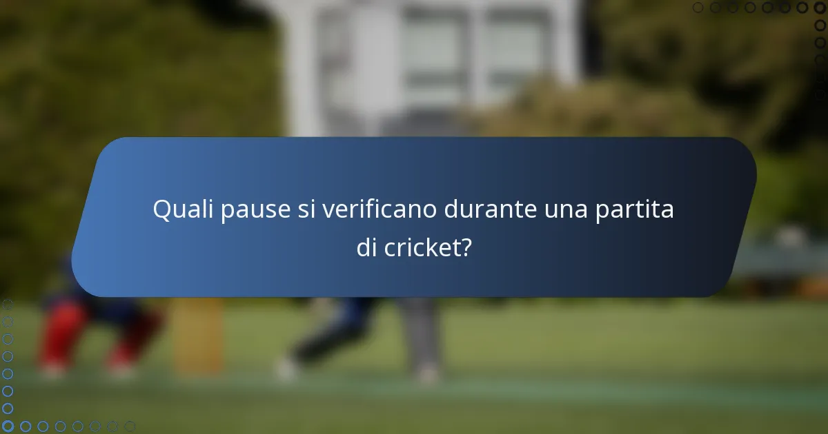 Quali pause si verificano durante una partita di cricket?